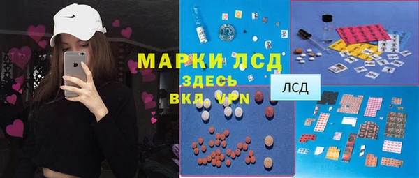 стафф Богданович