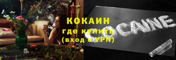 стафф Богданович