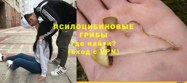 кокс Богородск