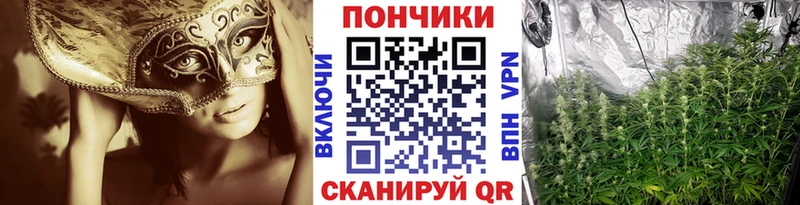 что такое   МЕГА ссылка  Канабис MAZAR  Электросталь 